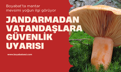 Boyabat'ta mantar toplayanlara uyarı : Tek başınıza ormana girmeyin