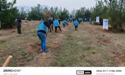 Boyabat'a topraklar fidanla buluştu