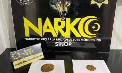 İl Merkezi ve Boyabat’ta narkotik operasyonları: 11 şüpheli yakalandı