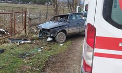 Otomobil ağaçlara çarptı: Biri çocuk beş yaralı