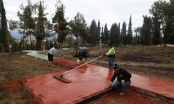 Boyabat Mezarlığı’na lavanta bahçesi