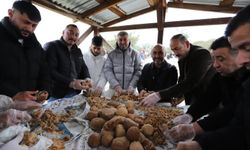 Boyabat’ta Ziraat Kesme Geleneği Yaşatılıyor