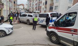 Boyabat'ta otomobille pikabın çarpıştığı kazada sürücüler yaralandı