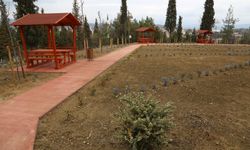 Boyabat Mezarlığı’nda çalışmalar tamamlandı