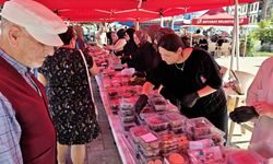 Boyabat’ta Kermes Geliri Özel Bireyler İçin Kullanılacak