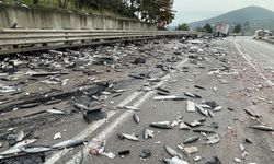 Boyabat’ta balık yüklü tır devrildi : 1 ölü !