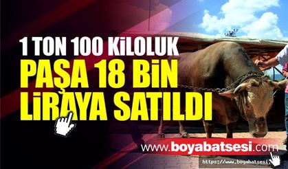 1 ton 100 kiloluk "Paşa" 18 bin liraya satıldı