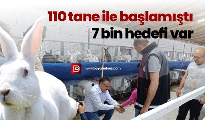 Boyabatlı üreticiden yenilikçi bir girişim: Yeni Zelanda Tavşanı Yetiştiriciliği