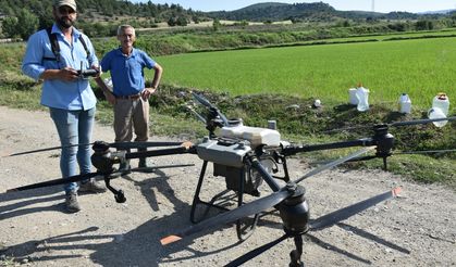 Çiftçilerin drone kullanımı yaygınlaşıyor