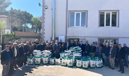 Boyabatlı Çiftçilere Sertifikalı Kuru Fasulye Tohumu Dağıtıldı