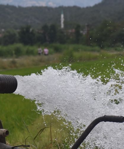 Boyabat’ta çeltik üreticileri kuraklık nedeniyle su sorunu yaşıyor
