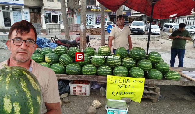 Boyabat’ta yerli karpuz çıktı; üretici Atakoğlu dertli !