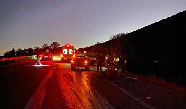 Boyabat’ta Korkutan Kaza! İneğe Çarpan Araçtaki İki Kişi Yaralandı