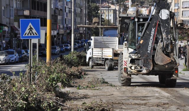 Boyabat’ta orta refüjlerde görüş engeline karşı belediye harekete geçti