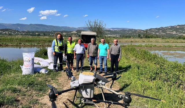 Boyabat'ta Drone ile Çeltik Ekimi Başladı
