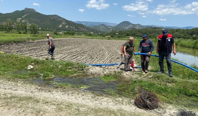Boyabat’ta Çeltik Tarlalarında Su Verimliliği İçin Yeni Sulama Yöntemleri Deneniyor