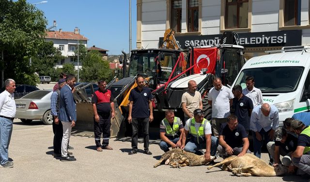 Saraydüzü Belediyesi Filoya Yeni Araçlar Ekledi