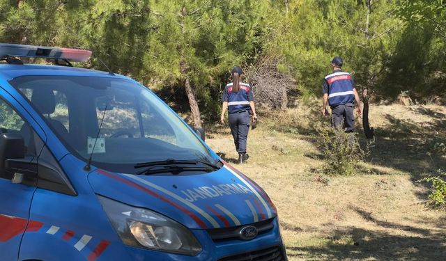 Boyabat Jandarması'nda  Orman Yangınlarına Karşı Yoğun Mesai