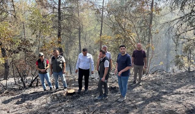 Kaymakam Enver Yılmaz Olay Yerinde İnceleme Yaptı