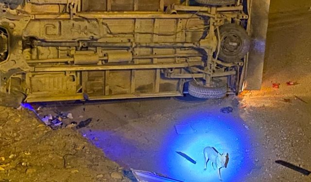 Boyabat’ta Gece Yarısı Feci Kaza: 2 Yaralı Kaza Sonrası Ortaya Çıkan Çakal Şaşkınlık Yarattı