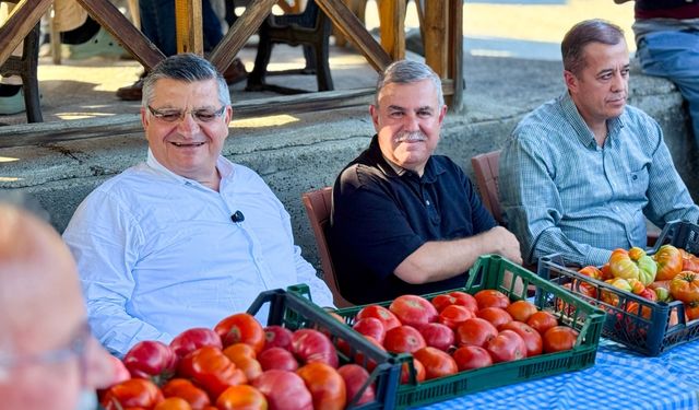 Gazidere Domatesi Hasadına Başlandı