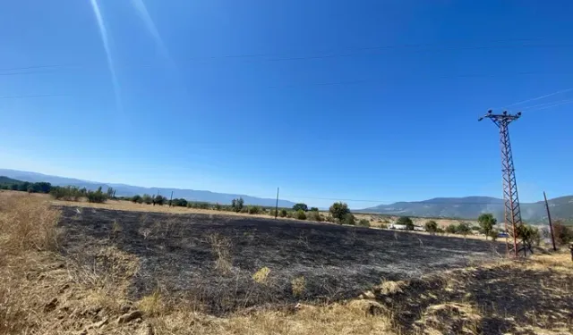 Boyabat’ta Anız Yangınları: Hamzalı ve Çaltı’da İtfaiye Alarm Verdi