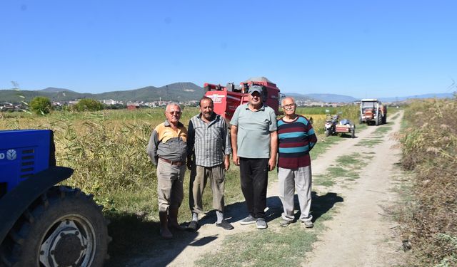 Boyabatlı Çeltik Üreticileri Baraj İstiyor !
