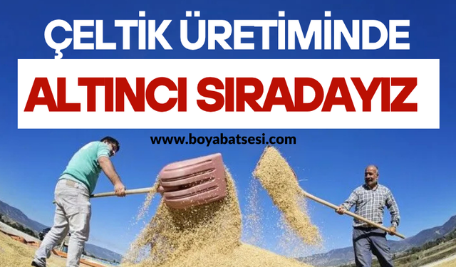 Çeltik Üretiminde Altıncı Sıradayız
