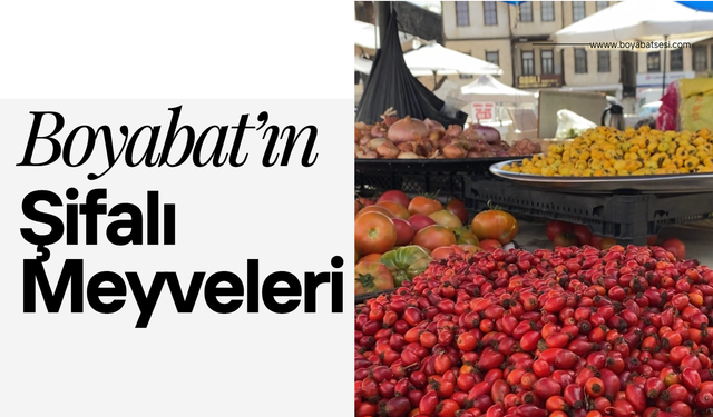 Şifalı Meyveler Pazarda Büyük İlgi Görüyor