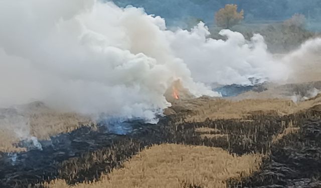 Boyabat’ta anız yangını !