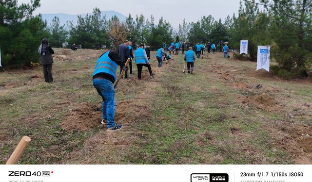 Boyabat'ta topraklar fidanla buluştu
