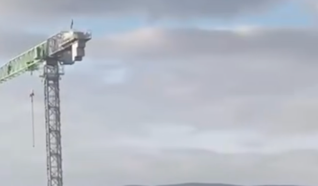 Kule vince çıkarak yaşamına son vermek istedi