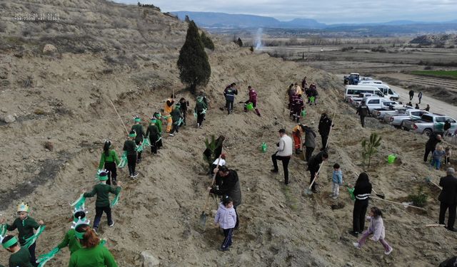 Boyabat'ta fidanlar toprakla buluştu