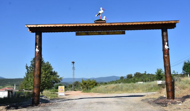 Saraydüzü Leylek Şenliği'ne hazır