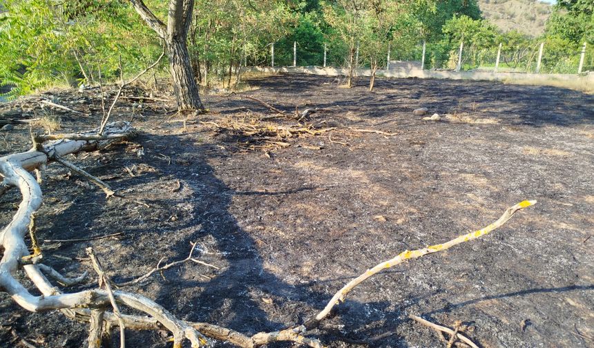 Boyabat Kalebağı'nda yangın : Kovalarla su taşıyıp yangının ormana sıçramasını önlediler