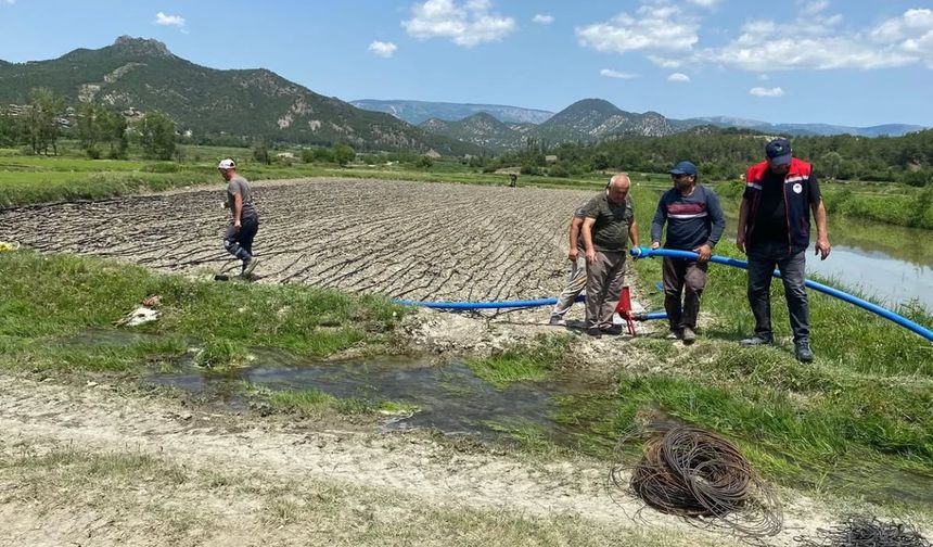 Boyabat’ta Çeltik Tarlalarında Su Verimliliği İçin Yeni Sulama Yöntemleri Deneniyor