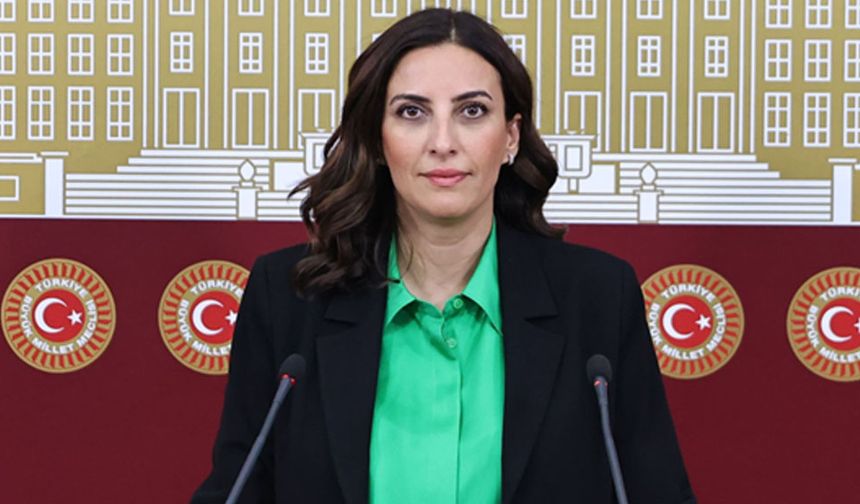 DEVA Partili Rızvanoğlu: Boyabat’ta kurulacak maden ocağını TBMM gündemine taşıdı
