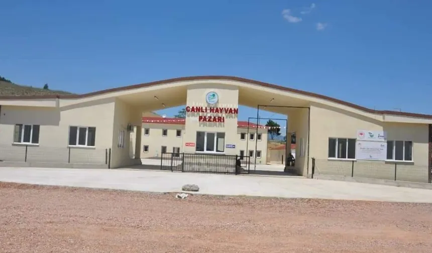 Boyabat Hayvan Pazarı Geçici Süreyle Kapatıldı