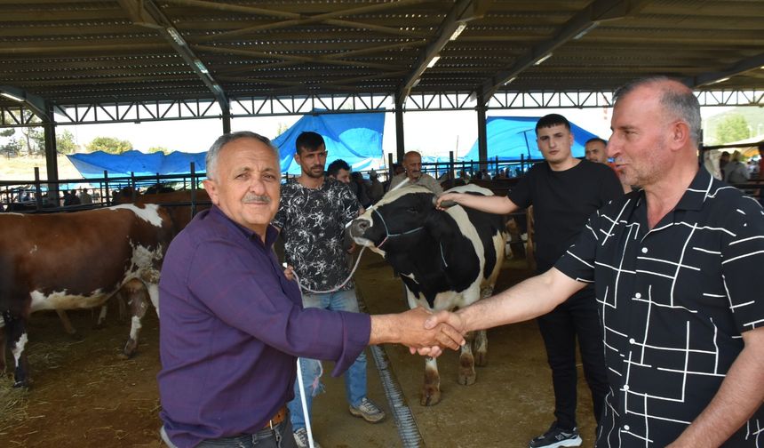 Boyabat Kurban Pazarı’nda Arefe Günü Hareketliliği: İlgi Geçen Yıla Göre Az