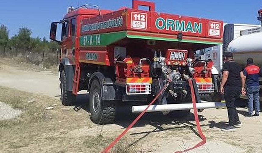Boyabat’ta Ot Yangını Korkuttu: Alevler Ormana Sıçramadan Söndürüldü