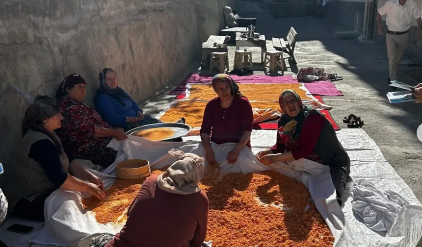 Boyabat’ta Kadınlar İmece Usulüyle Kışlık Tarhana Hazırlıyor