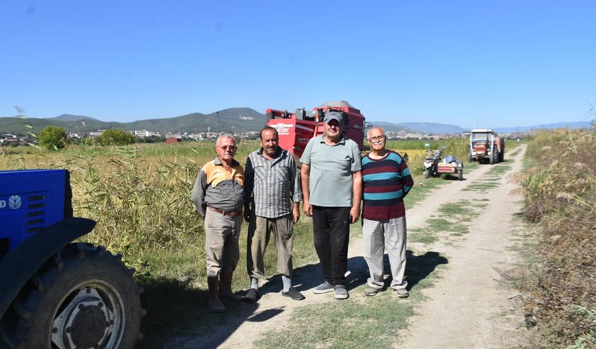 Boyabatlı Çeltik Üreticileri Baraj İstiyor !