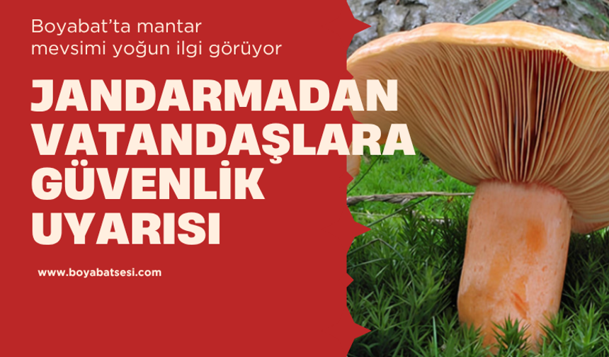 Boyabat'ta mantar toplayanlara uyarı : Tek başınıza ormana girmeyin