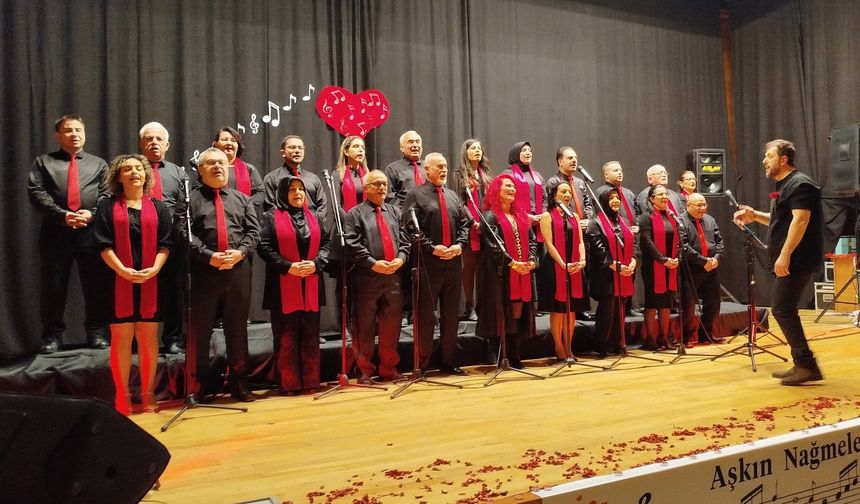 Boyabat'ta sanat müziği konseri verildi