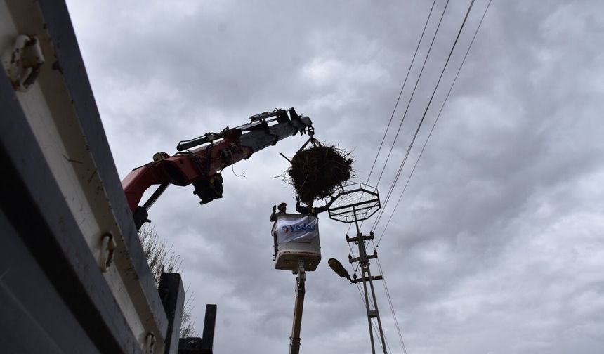 Leyleklerin güvenliği için direklere yapay platformlar sağlanıyor
