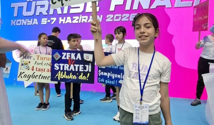 Boyabatlı öğrenci Türkiye derecesi aldı