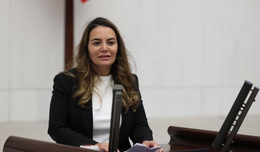 İYİ Parti Milletvekili Ayyüce Türkeş Boyabat'a geliyor