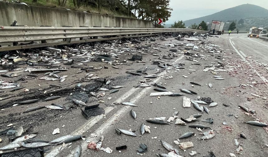 Boyabat’ta balık yüklü tır devrildi : 1 ölü !