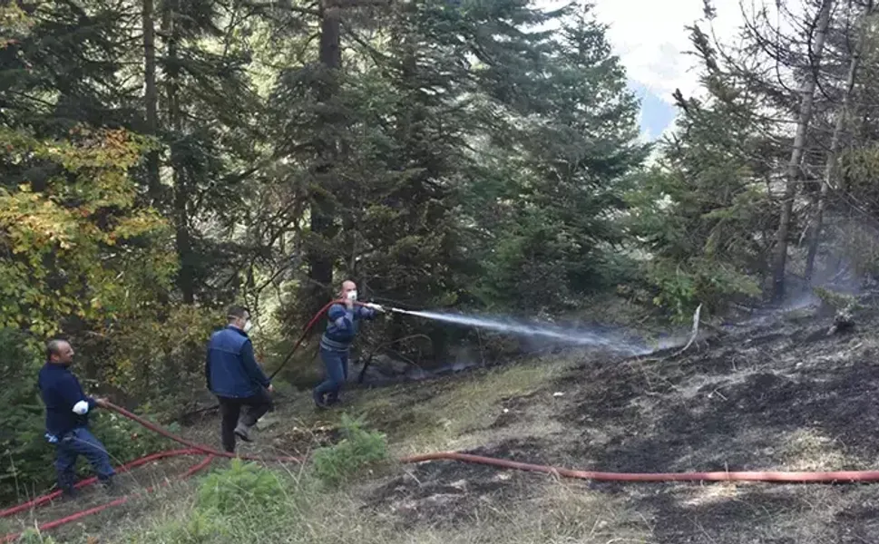 Boyabat'ta ormanlara girişiler 1 Haziran - 31 Ekim arasında yasaklandı