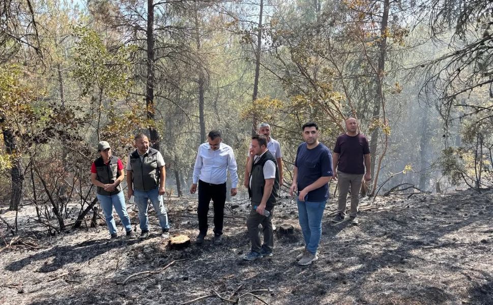Kaymakam Enver Yılmaz Olay Yerinde İnceleme Yaptı